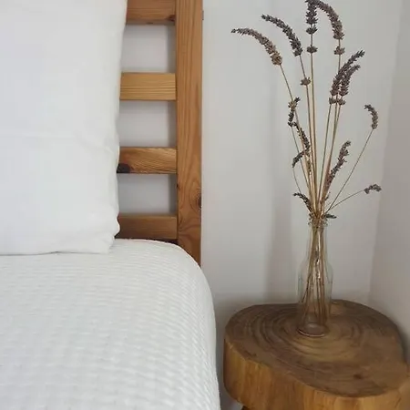 Mimosas - Agreable Maison Avec Jardin Et Wifi